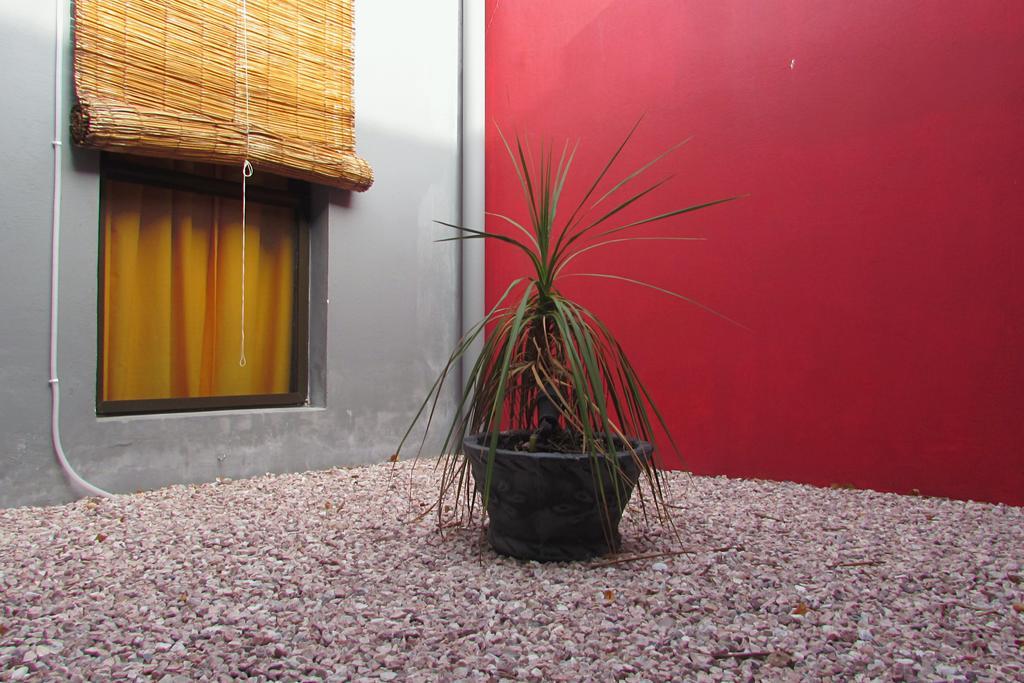 Hostel De Los Colores Piriapolis Ngoại thất bức ảnh
